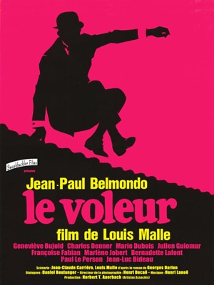 LE VOLEUR