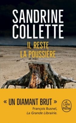 IL RESTE LA POUSSIÈRE